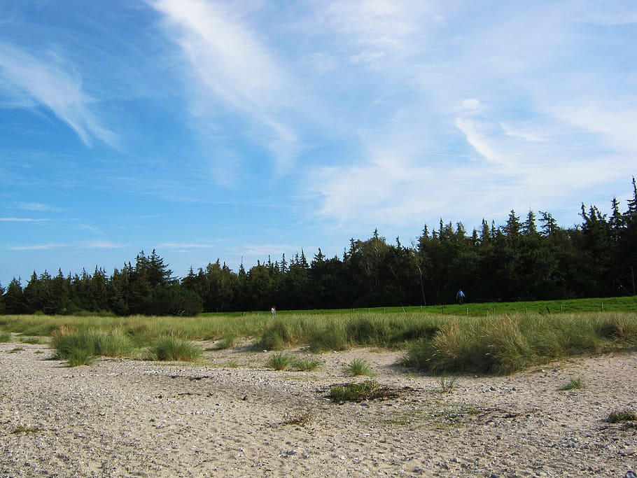 baltic sea, beach, sky, blue, dunes, edge of the woods, coastal landscape, HD wallpaper