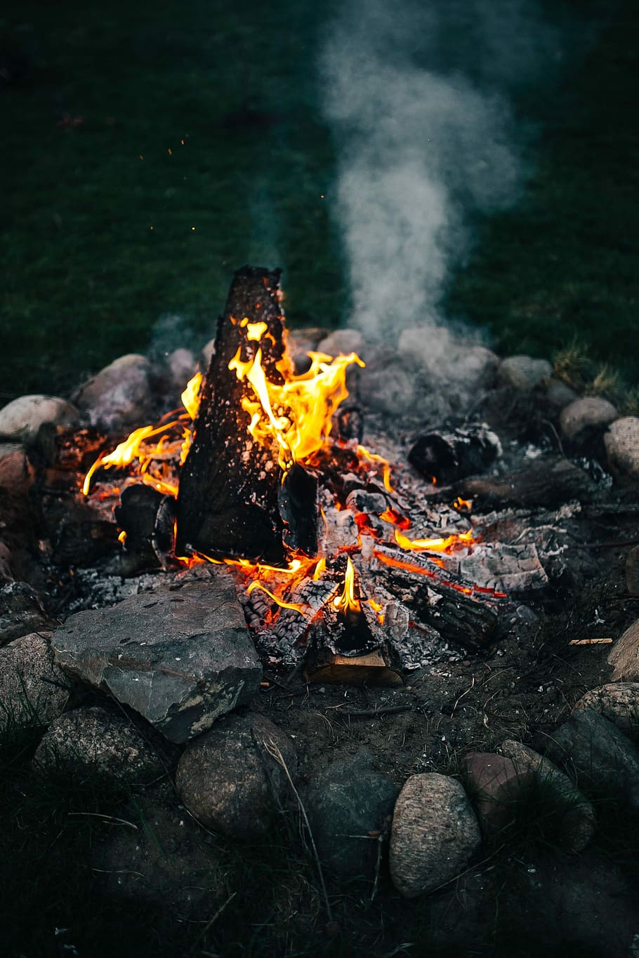 Summer Campfire, vacations, camera, outdoor, nature, outside, HD wallpaper