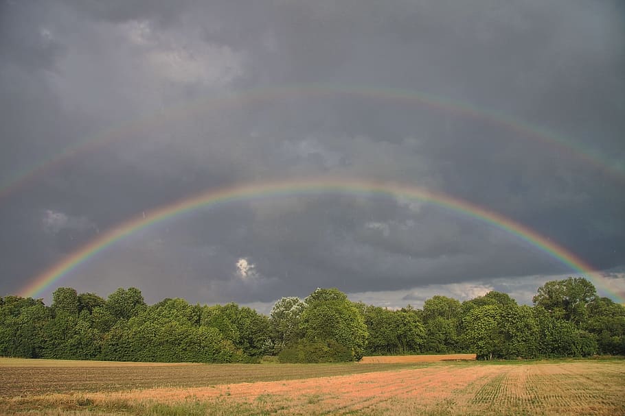 green field under rainbow, summer, landscape, storm, nature HD wallpaper