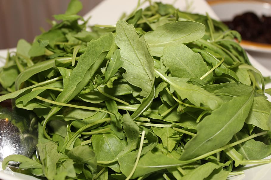 rocket, salad, buffet, cold buffet, eat, food, starter, benefit from HD wallpaper