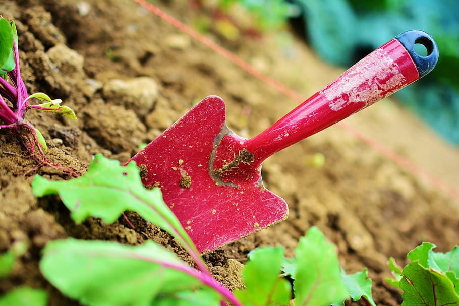 red trowel on soil, Gardening, Blade, Plant, garden tools, garden soil