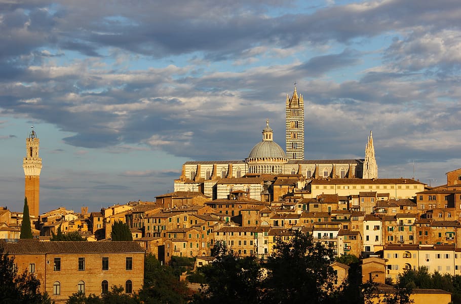 siena, tuscany, city, landscape, tourism, cathedral, building exterior, HD wallpaper