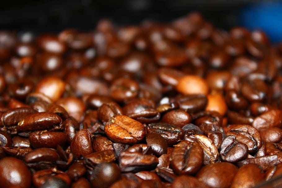 beans, caffeine, coffee, coffee beans, depth of field, macro HD wallpaper