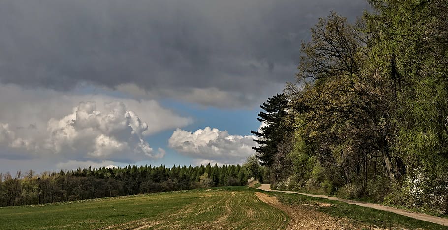 landscape, clouds, forest, way, poland, field, sky, view, nature HD wallpaper