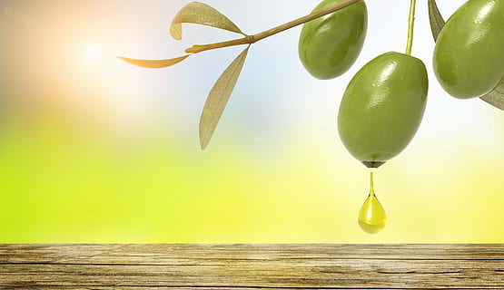 oil, olive, food and drink, fruit, healthy eating, water, nature HD wallpaper