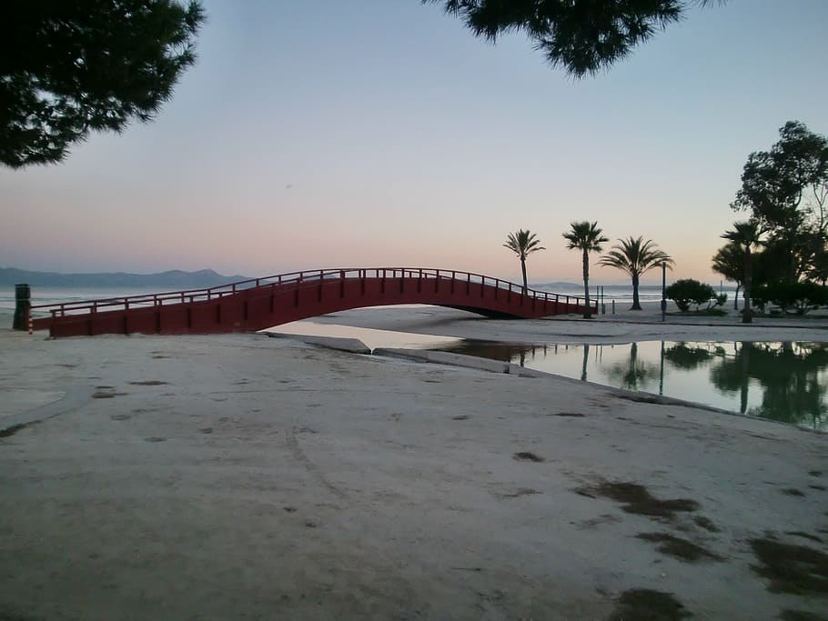 bridge, river, mirroring, palm trees, sea, reflection, abendstimmung HD wallpaper
