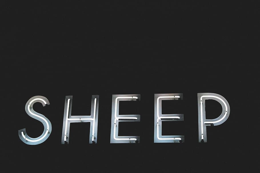 gray sheep signage, letters, font, light, dark, black and white HD wallpaper