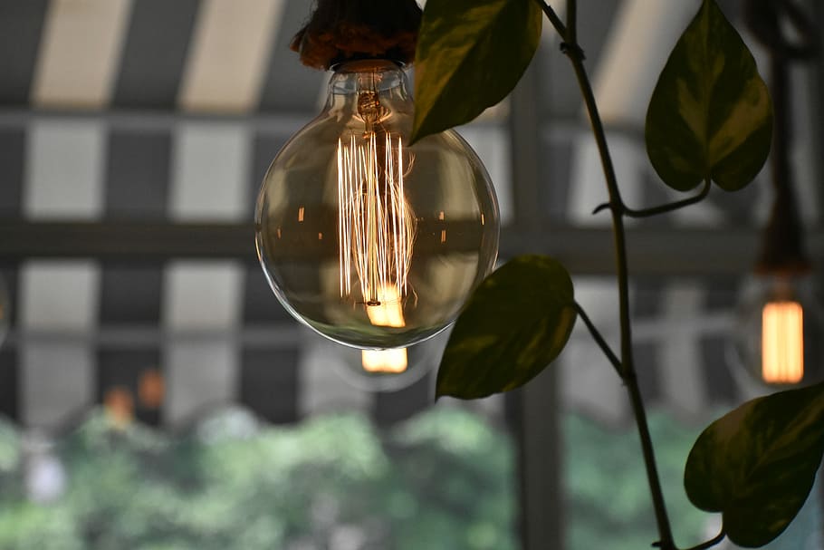 Hanging Garden of Altitude, compact light bulb decor, lightbulb HD wallpaper