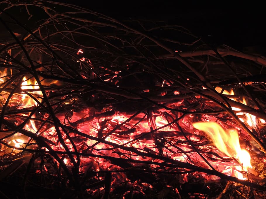 fire, night, flame, camp fire, bonfire, campfire, fireplace HD wallpaper