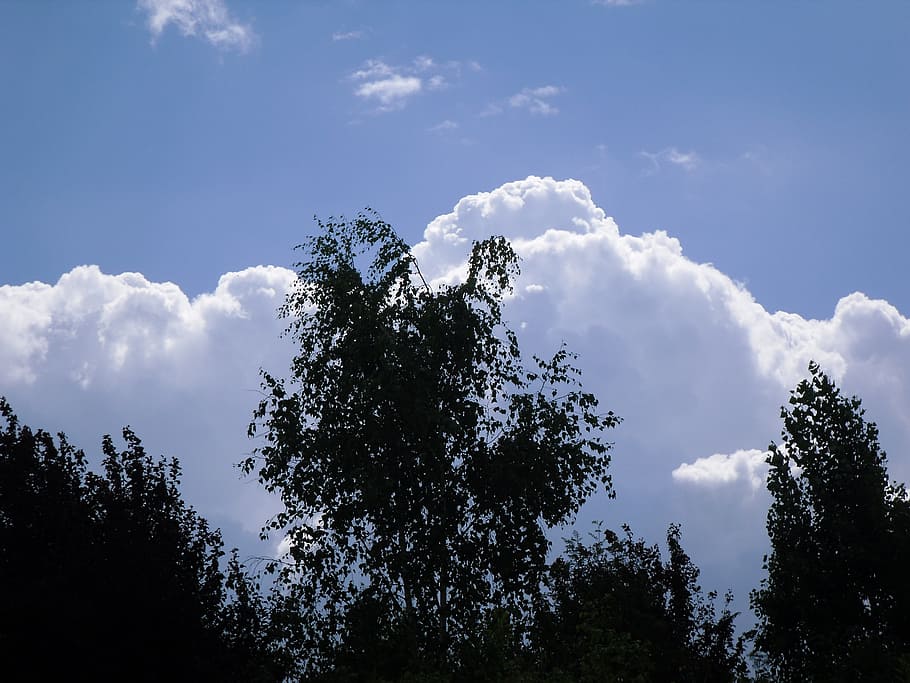 trees, clouds, sky, blue, silhouette, landscape, outdoor, outdoors HD wallpaper