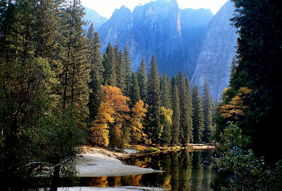 green trees, landscape, reflection, water, mountains, outdoors HD wallpaper