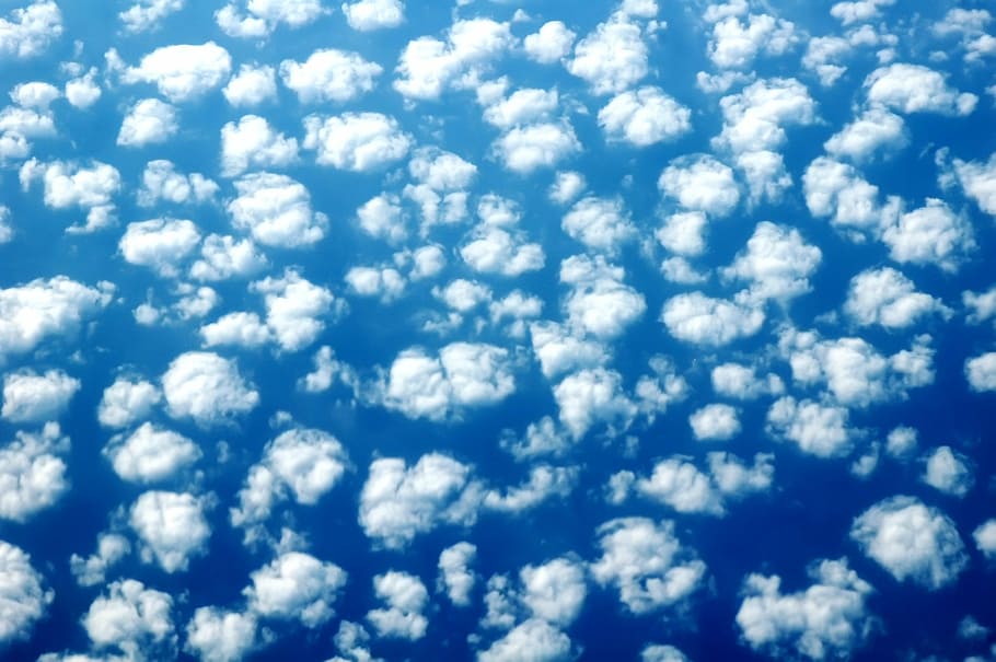 sheep, sky, background, blue, clouds, white, pattern, night HD wallpaper