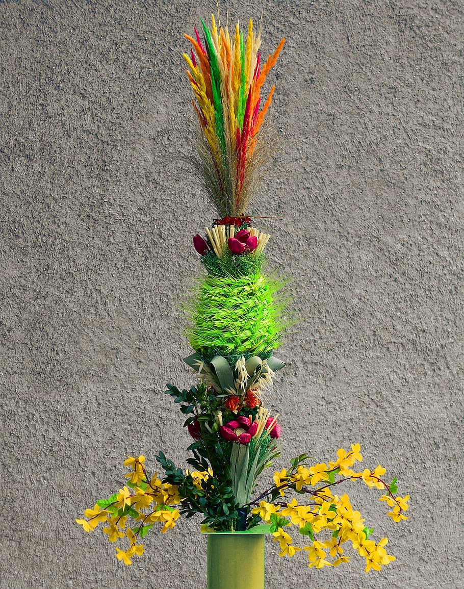 easter palm, palma, palm sunday, custom, ornament, flowering plant HD wallpaper