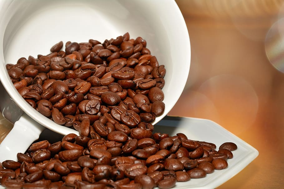 Coffee Beans, Roasted, Cup, Saucer, food and drink, sweet food HD wallpaper