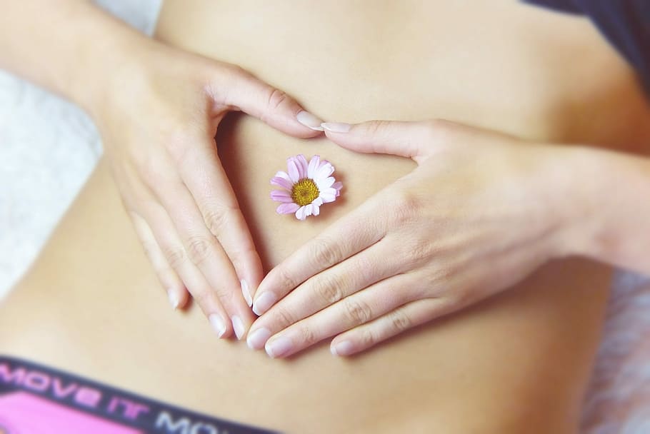 woman holding her stomach with pink and yellow marguerite daisy flower on navel in close-up photography, HD wallpaper