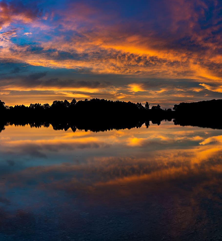 silhouette of trees under cloudy sky during daytime, sunset HD wallpaper