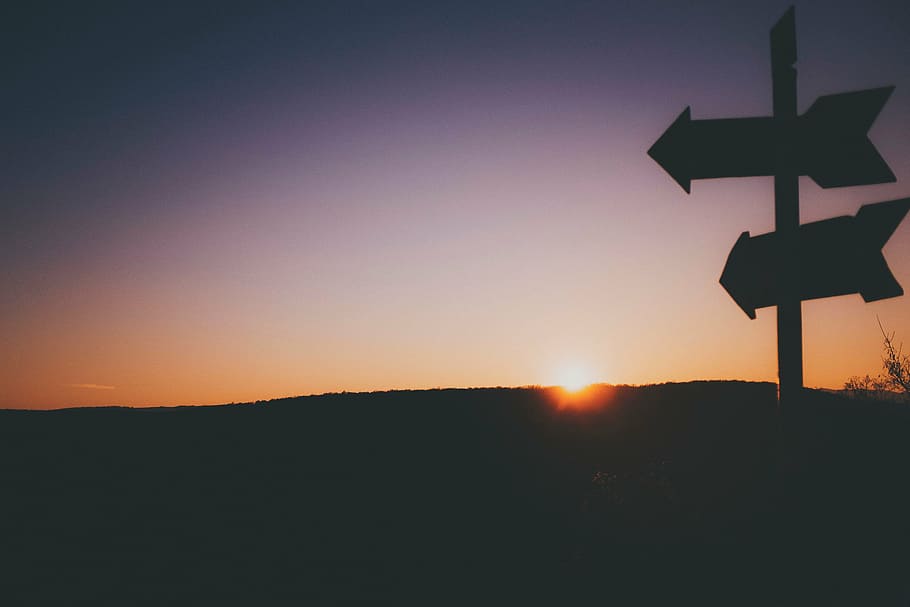 untitled, sunset, night, arrow, directions, grass, trees, plant HD wallpaper