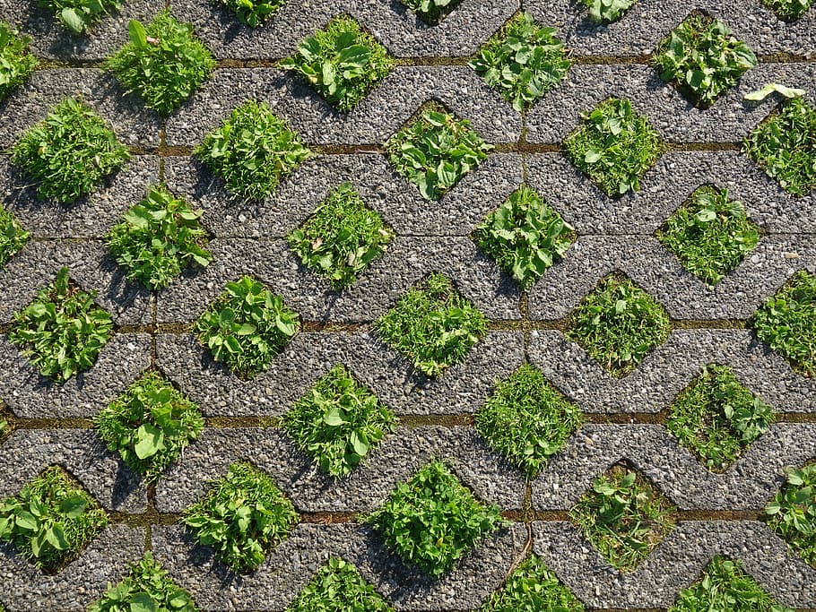 Ground, Squares, Grass, Concrete, green, grey, pattern, background HD wallpaper