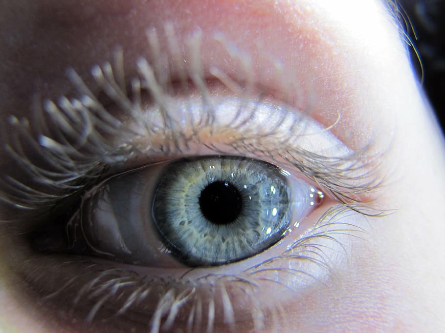 eye, szupermakró, macro, iris, watch, eyelash, skin, human body part HD wallpaper