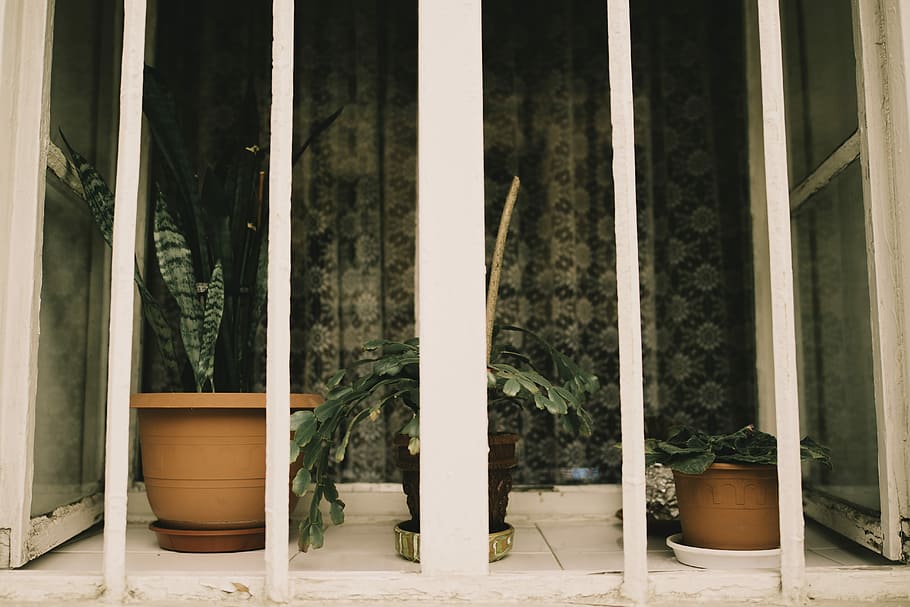 three brown pots with green plants at lit room behind balusters, three plants on pot near metal bar HD wallpaper
