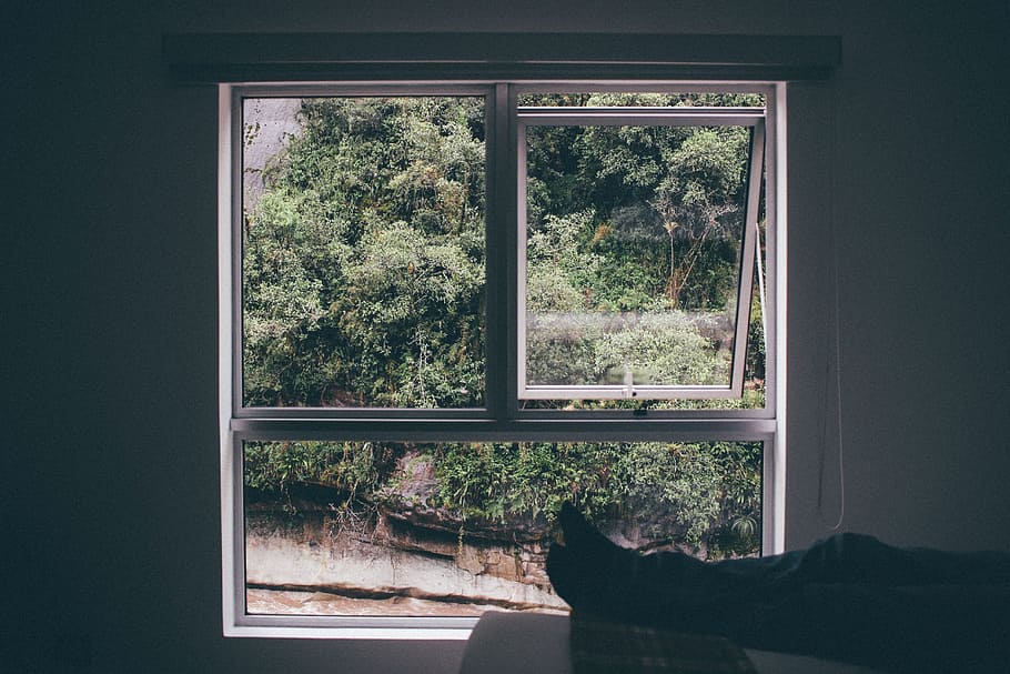 white sash window open, window frame, view, interior, window view, HD wallpaper