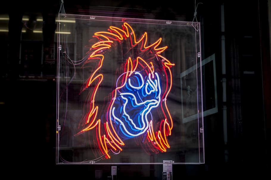 orange hair and blue skull neon light illustration, orange and blue LED signage HD wallpaper