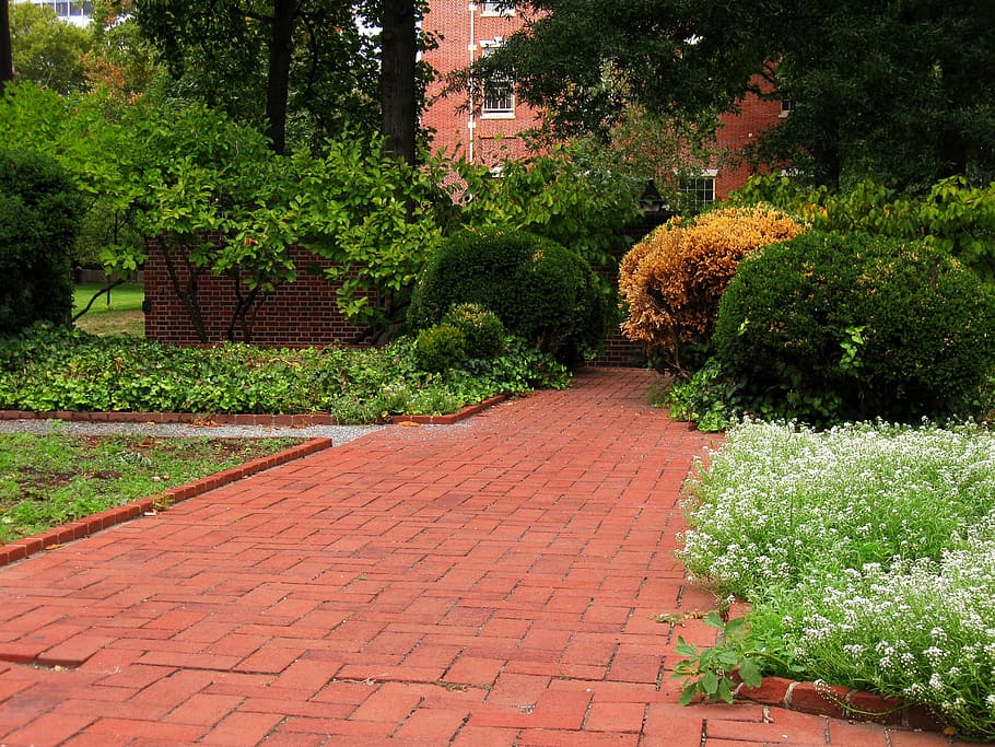 Clinker, Pathway, Bricks, Philadelphia, downtown, flowers, horticulture HD wallpaper
