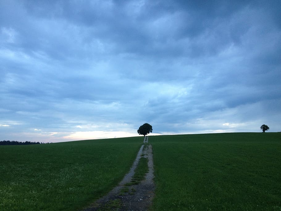 tree, dom, sky, dark, mood, blue, stormy, hill, cloud, horizon HD wallpaper