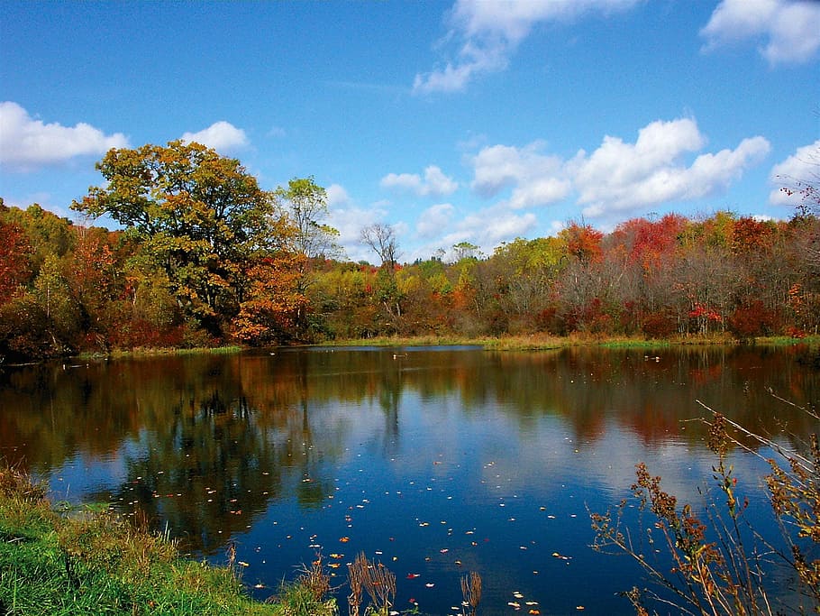 Landscape, Ceu, Blue Sky, reflection, autumn, nature, lake HD wallpaper