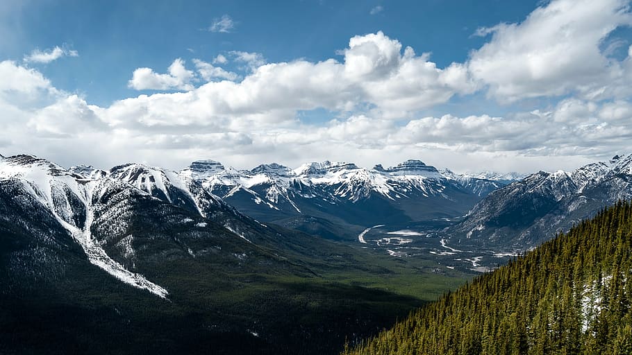 mountain, snow, peak, cloud, sky, tree, evergreen, conifer HD wallpaper