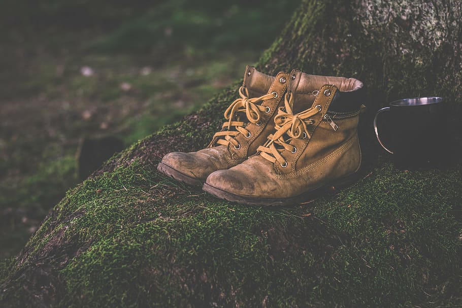 pair of brown leather work shoes near tree, boots, cup, daylight HD wallpaper