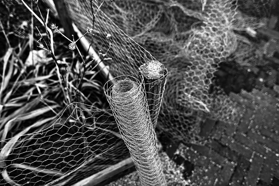 grayscale photo of cyclone fence, chicken wire, netting, wire netting HD wallpaper