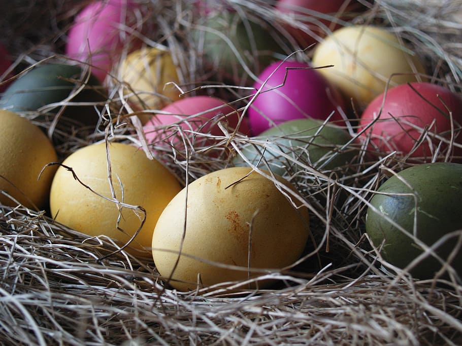 easter, egg, food, nest, hay, still life, straw, farm, rustic HD wallpaper