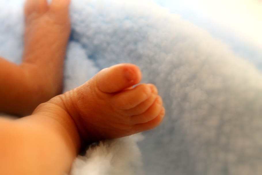 baby feet, blue, boy, child, foot, small, little, newborn, infant, HD wallpaper