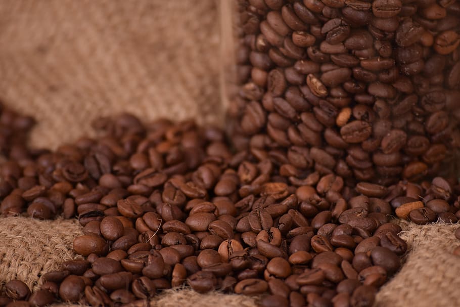 coffee, caffeine, seed, bean, drink, espresso, dark, mocha HD wallpaper