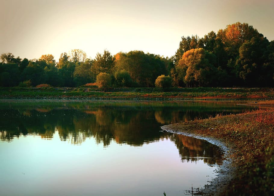 Water, Trees, autumn, reflection, lake, nature, scenics, plant HD wallpaper