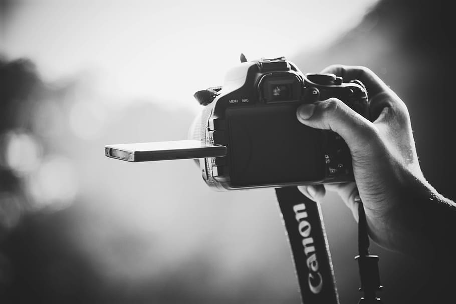 grayscale photography of person holding Canon DSLR camera, grayscale photo of person holding Canon DSLR camera
