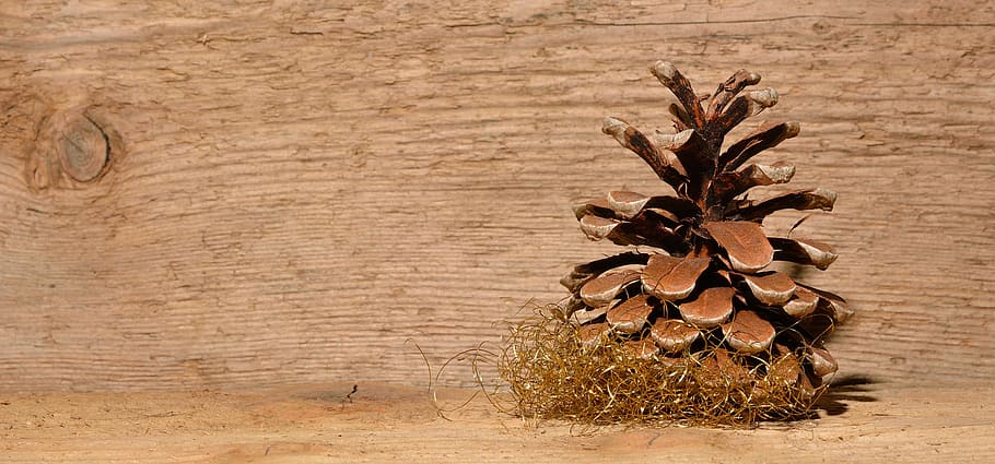 pine cone, wood, background, wood - material, brown, plant HD wallpaper