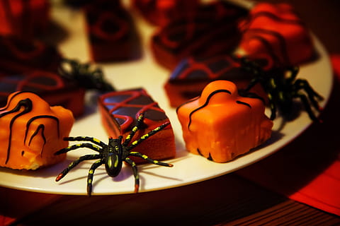 black spider and muffins on white ceramic plate, baked, cake HD wallpaper