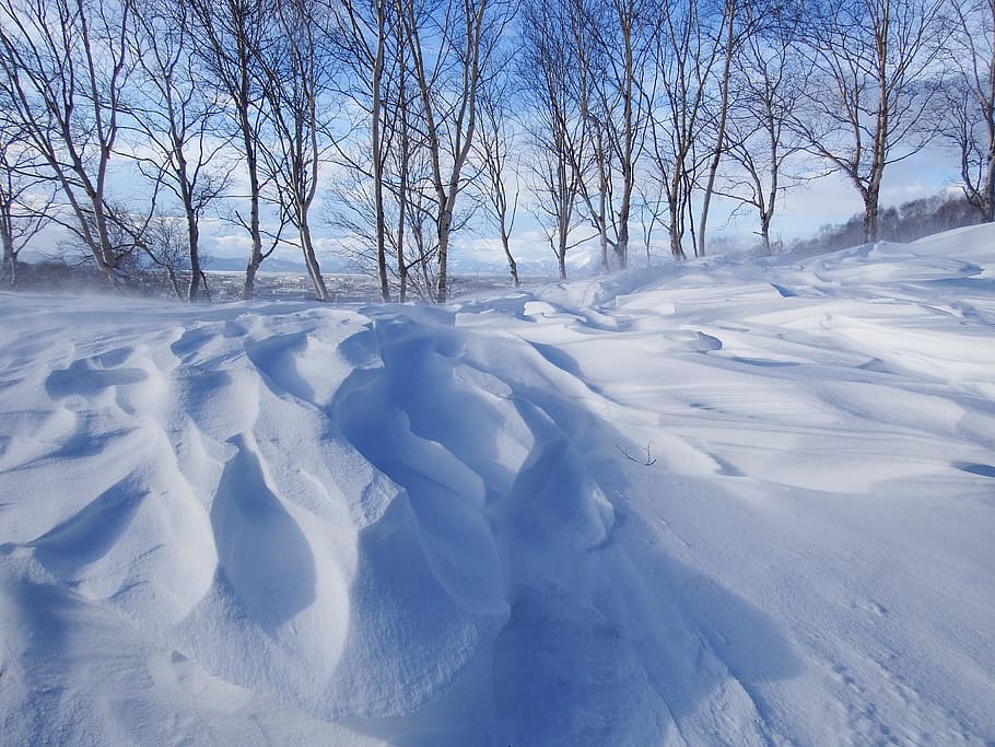winter, snow, cold, leann, wind, frost, frozen, snowdrifts HD wallpaper