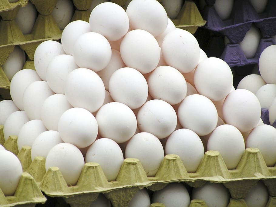 poultry egg lot, egg carton, chicken eggs, egg packaging, stack