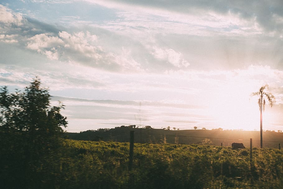 light, dawn, sky, sunset, backlit, clouds, daylight, field, fog HD wallpaper