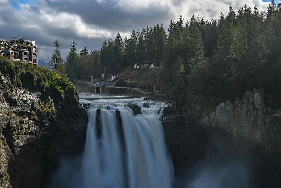 pine trees near waterfalls, long exposure photography of mountain falls HD wallpaper