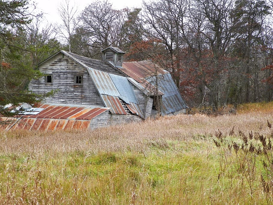 barn, rustic, fall, barn wood, old, vintage, country, rough HD wallpaper