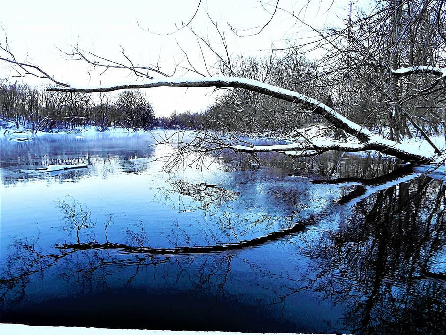 branch, branches, cold, dawn, frost, frosty, frozen, ice, lake HD wallpaper
