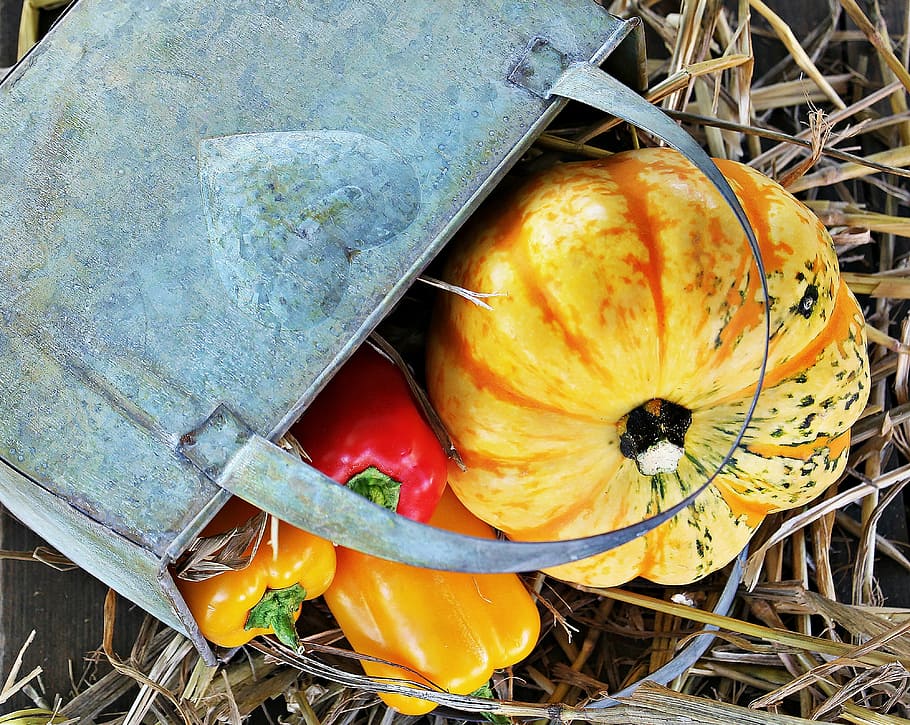 four assorted-color vegetables beside gray metal basket, thanksgiving, HD wallpaper
