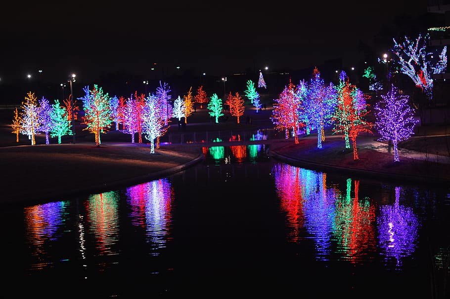 light, tree, christmas, celebration, xmas, winter, night, water HD wallpaper