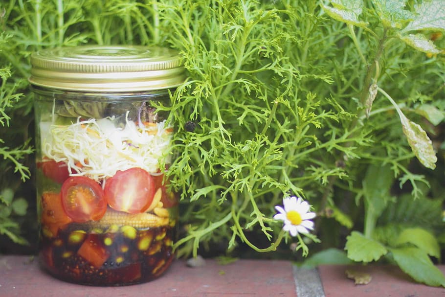 infused vinegar bottle, jar, nature, green Color, food, flower HD wallpaper