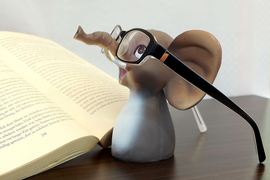 brown and gray elephant toy wearing eyeglasses, reading glasses, HD wallpaper