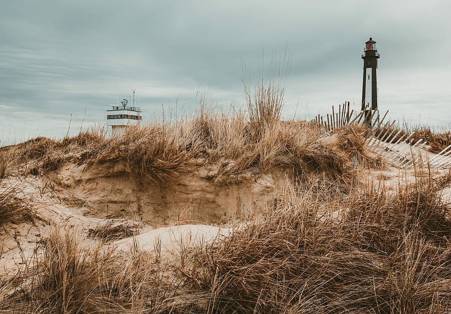 lighthouse near white building during daytime, brown grass, sand HD wallpaper